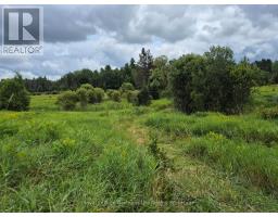 3518 Highway 17, Papineau Cameron, ON P0H1V0 Photo 6