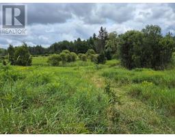3518 Highway 17, Papineau Cameron, ON P0H1V0 Photo 7