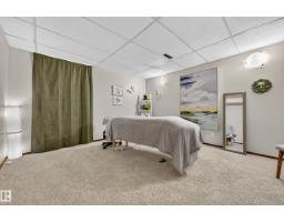 11727 27 Av Nw, Edmonton, AB T6J3N7 Photo 47