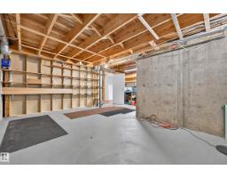 11727 27 Av Nw, Edmonton, AB T6J3N7 Photo 56