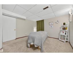 11727 27 Av Nw, Edmonton, AB T6J3N7 Photo 49