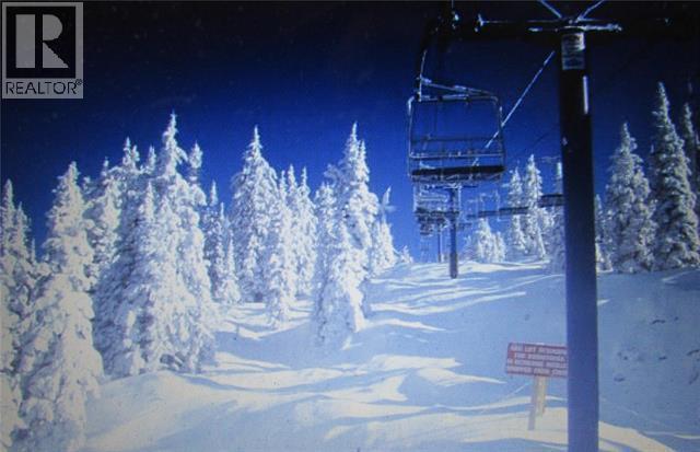 #229 5375 Big White Road - 21