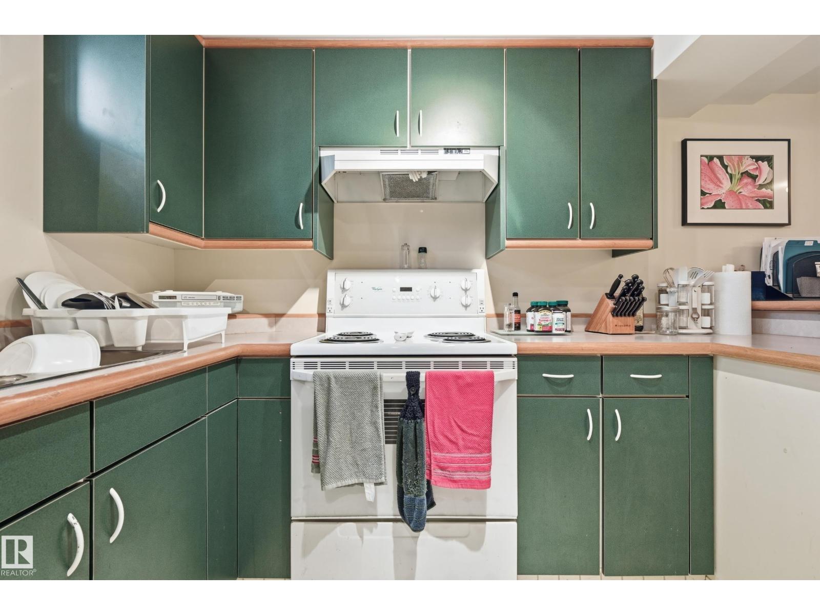 10935 127 Street NW - Photo 36