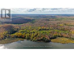 1304 Lower Monmouth Lake Road, Highlands East, ON K0L2Y0 Photo 10