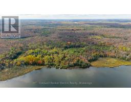 1304 Lower Monmouth Lake Road, Highlands East, ON K0L2Y0 Photo 11