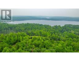 1304 Lower Monmouth Lake Road, Highlands East, ON K0L2Y0 Photo 17