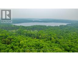 1304 Lower Monmouth Lake Road, Highlands East, ON K0L2Y0 Photo 19