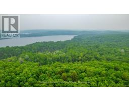 1304 Lower Monmouth Lake Road, Highlands East, ON K0L2Y0 Photo 20