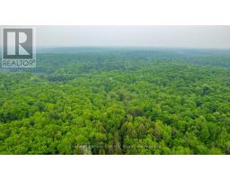 1304 Lower Monmouth Lake Road, Highlands East, ON K0L2Y0 Photo 21