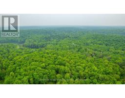 1304 Lower Monmouth Lake Road, Highlands East, ON K0L2Y0 Photo 22