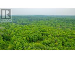 1304 Lower Monmouth Lake Road, Highlands East, ON K0L2Y0 Photo 23