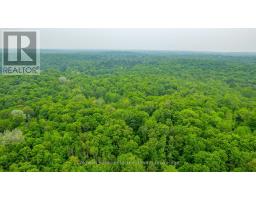 1304 Lower Monmouth Lake Road, Highlands East, ON K0L2Y0 Photo 24