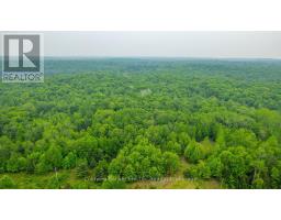 1304 Lower Monmouth Lake Road, Highlands East, ON K0L2Y0 Photo 25