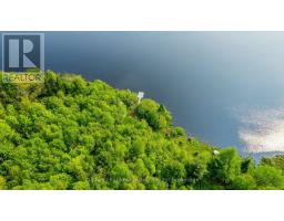 1304 Lower Monmouth Lake Road, Highlands East, ON K0L2Y0 Photo 34