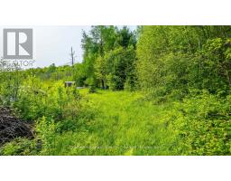 1304 Lower Monmouth Lake Road, Highlands East, ON K0L2Y0 Photo 41