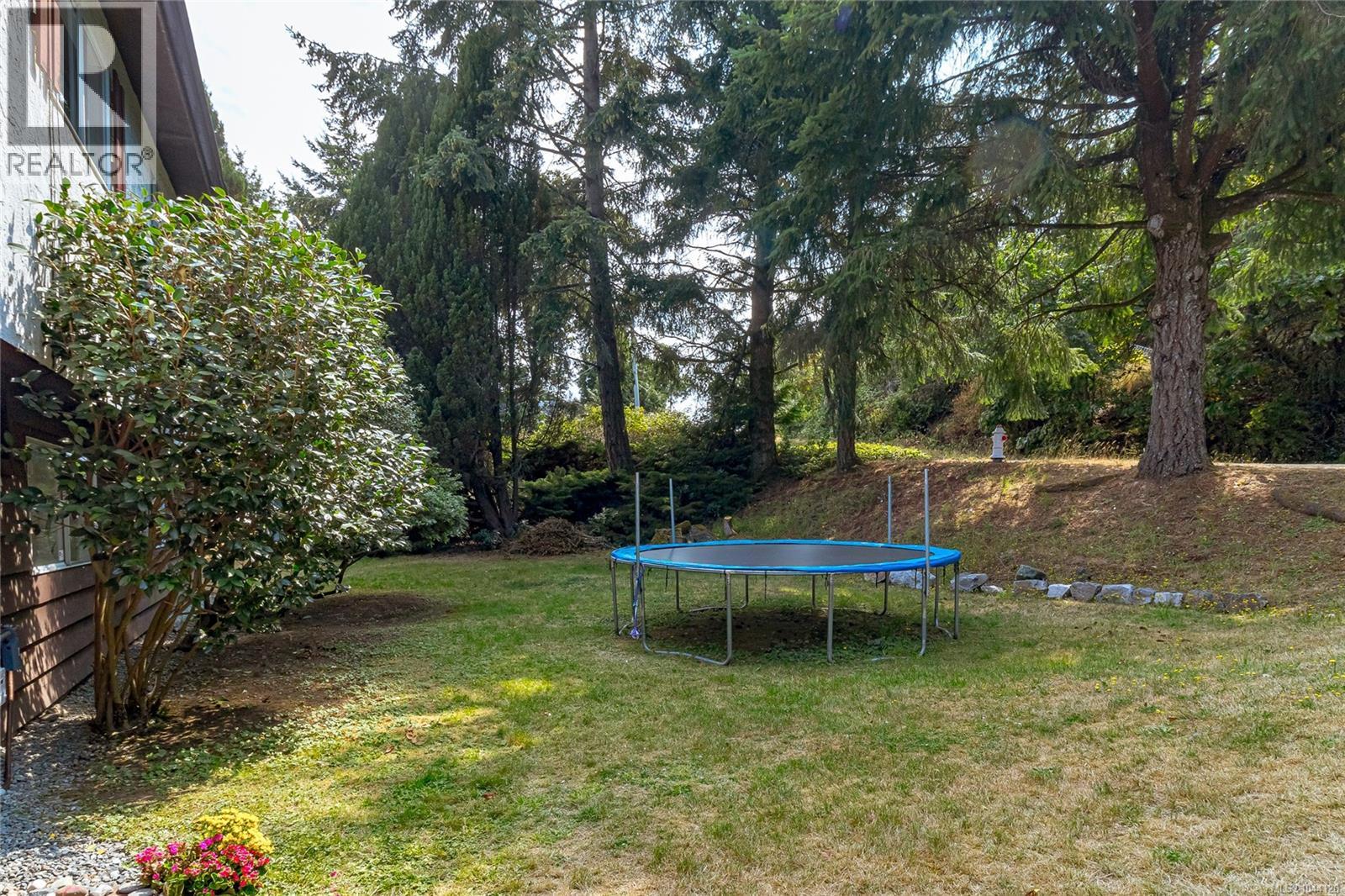 3330 Ravenwood Rd - 50