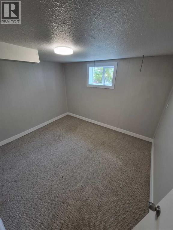 4931 54 Avenue - Photo 16