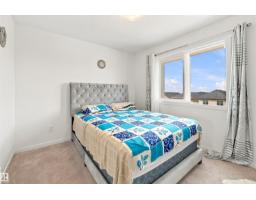1172 Aster Boulevard Nw Nw, Edmonton, AB T6T2S2 Photo 33