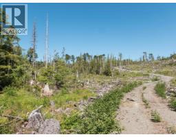 Dl 1669 Porcher Island, Prince Rupert, BC V0E1E0 Photo 15