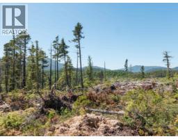 Dl 1669 Porcher Island, Prince Rupert, BC V0E1E0 Photo 6