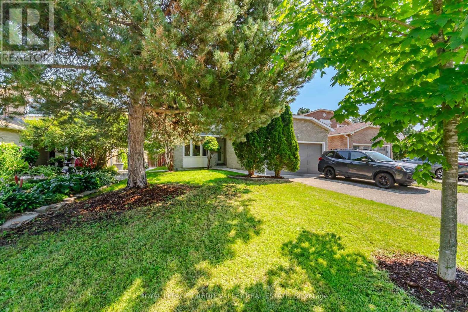 49 SUTTER AVENUE - 4
