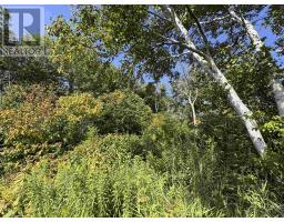 71 Lighthouse Point, Thessalon, ON P0R1L0 Photo 10