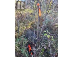 395421 Concession 2 Road, Chatsworth, ON N0H2V0 Photo 10