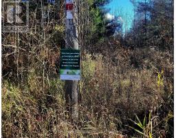 395421 Concession 2 Road, Chatsworth, ON N0H2V0 Photo 11