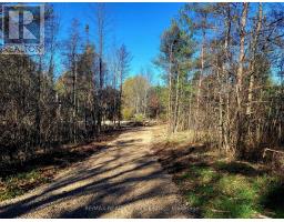 395421 Concession 2 Road, Chatsworth, ON N0H2V0 Photo 6