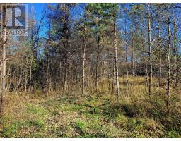 395421 Concession 2 Road, Chatsworth, ON N0H2V0 Photo 7