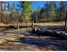 395421 Concession 2 Road, Chatsworth, ON N0H2V0 Photo 8