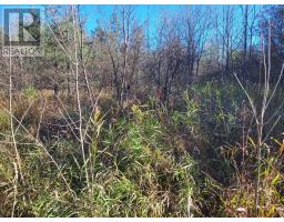 395421 Concession 2 Road, Chatsworth, ON N0H2V0 Photo 9