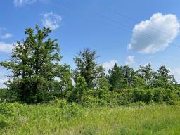 6 Pr 302 Highway S, Ste Anne Rm, MB R0E1S0 Photo 7