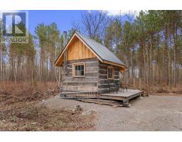 359 Dittburner Road, Whitewater Region, ON K0J1V0 Photo 14