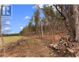 359 Dittburner Road, Whitewater Region, ON K0J1V0 Photo 16