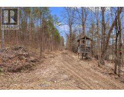 359 Dittburner Road, Whitewater Region, ON K0J1V0 Photo 17
