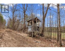 359 Dittburner Road, Whitewater Region, ON K0J1V0 Photo 18
