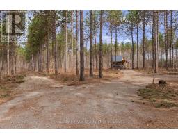 359 Dittburner Road, Whitewater Region, ON K0J1V0 Photo 19