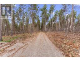 359 Dittburner Road, Whitewater Region, ON K0J1V0 Photo 21