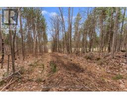 359 Dittburner Road, Whitewater Region, ON K0J1V0 Photo 22