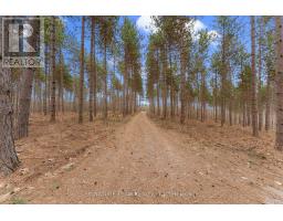 359 Dittburner Road, Whitewater Region, ON K0J1V0 Photo 23