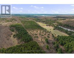 359 Dittburner Road, Whitewater Region, ON K0J1V0 Photo 26