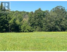 359 Dittburner Road, Whitewater Region, ON K0J1V0 Photo 29