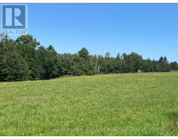 359 Dittburner Road, Whitewater Region, ON K0J1V0 Photo 30