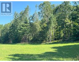 359 Dittburner Road, Whitewater Region, ON K0J1V0 Photo 31