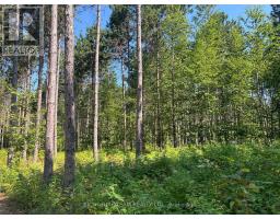 359 Dittburner Road, Whitewater Region, ON K0J1V0 Photo 32