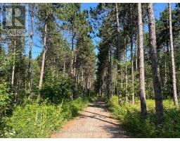 359 Dittburner Road, Whitewater Region, ON K0J1V0 Photo 33