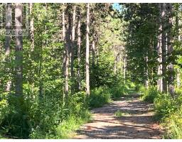 359 Dittburner Road, Whitewater Region, ON K0J1V0 Photo 34