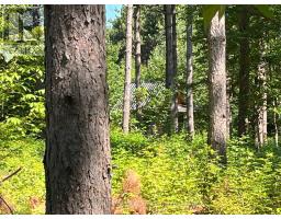 359 Dittburner Road, Whitewater Region, ON K0J1V0 Photo 35