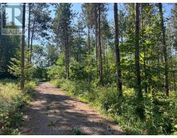 359 Dittburner Road, Whitewater Region, ON K0J1V0 Photo 36